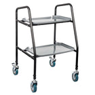 DJ Med Mobile Meal Tray Walker